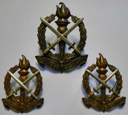 Regiment Schoonspruit Bi-Metal Cap & Collar Badges Dinnes 819 & 820