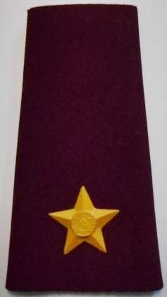 SA Medic 2nd Lieutenant Rubberised Rank Insignia Single