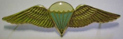 SA Parachute Basic Paratrooper Full Size Wing 8 Jumps or More