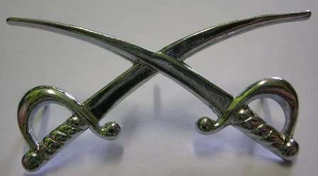 Assistant PT Instructor Badge Dinnes 910