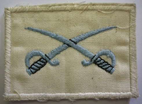 SAAF Assistant PT Instructor Badge Embroidered on Material Dirty