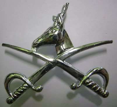 PT Instructor Chromed Proficiency Badge Dinnes 909