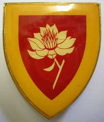SA Army Women's College Shoulder Flash Pins Intact Dinnes 4473