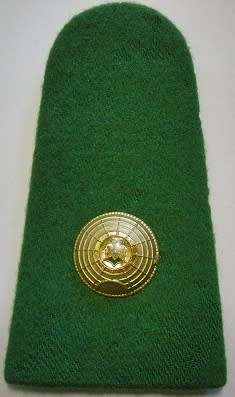 Kwazulu Police Major Rank Insignia Single Note Moth Damage