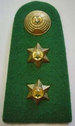 Kwazulu Police Colonel Rank Insignia Single
