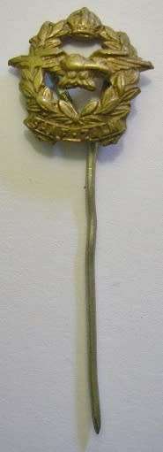 SAAF SALM Blazer Pin Size of Badge 17mm x 16mm