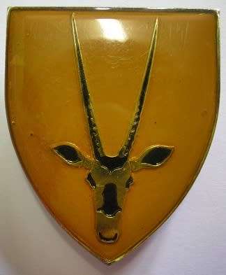 8 SA Infantry Shoulder Flash Pins Intact Dinnes 4402 Note Lucite Starting to Lift