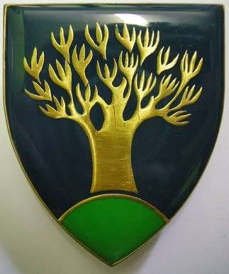 Keetmanshoop Commando Shoulder Flash Pins Intact Dinnes 5228