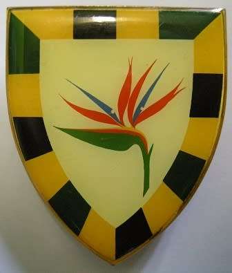 6 SAI Shoulder Flash 1st Type Pins Intact Dinnes 4398