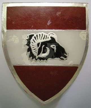 SWA Bo-Nosob Commando Shoulder Flash Perspex Type Pins Intact Owen F549