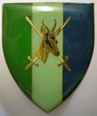 SA Army Signals Formation Shoulder Flash Pins Intact Dinnes 4585