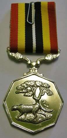 Full Size Southern Africa Medal Double Face Suspender Tall Grass Poor Detail Nr Engraved on Rim