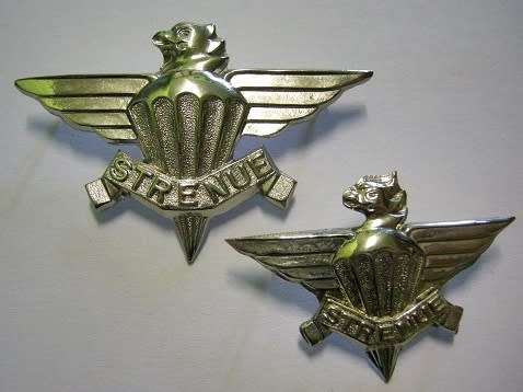 3 Parachute Battalion Chromed Beret Badge Pin Type & One Collar Badge