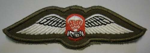 Free Fall Instructor Wing Embroidered Material This Badge Features in Matthysen Vol1 SEE DESCRIPTION