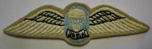 Parachute Instructor Wing Embroidered on Felt