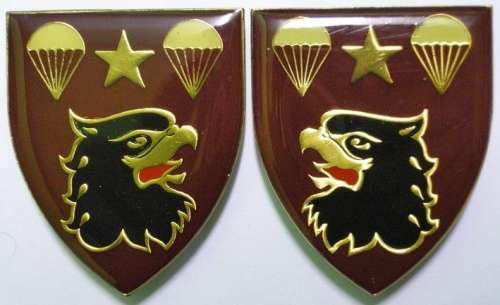 4 Parachute Battalion Shoulder Flashes Pair Pins Intact