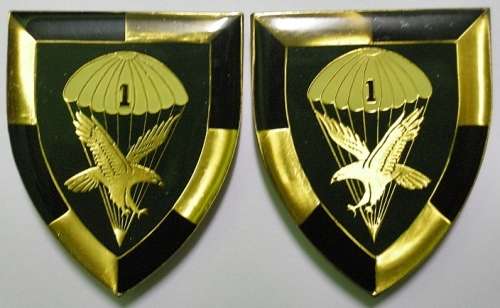 1 Parachute Battalion Shoulder Flashes 2nd Issue (Gold Type) Pair Pins Intact