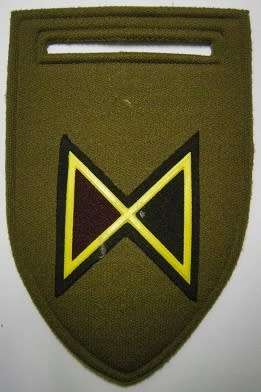 44 Para Brigade E COY Rubberised Flash Pin Intact