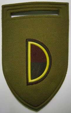 44 Para Brigade F COY Rubberised Flash Pin Intact