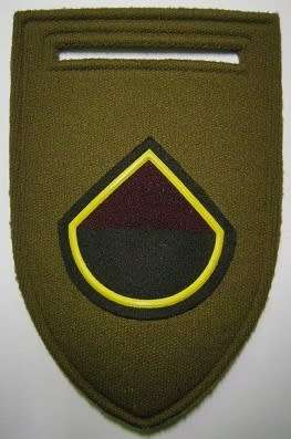44 Para Brigade D COY Rubberised Flash Pin Intact