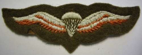 Para Free Fall Parachute Wing Embroidered on Felt Note Moth Damage