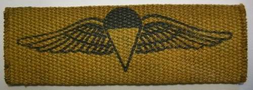 Parachute Wing Printed on Material Note Glue at Back