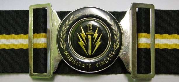 61 Mech Brigade Stable Belt Length of Belting 132cm