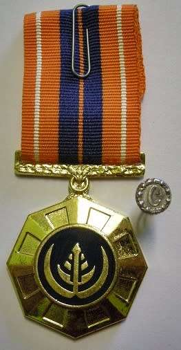 Full Size Pro Patria Medal Numbered at Back Flush Epoxy In Original Box w/ Cunene Button