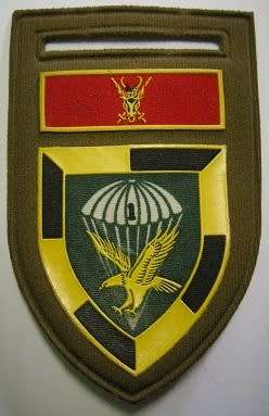 1 Para Battalion 1st Type One Piece Rubberised Shoulder Flash Pin Intact