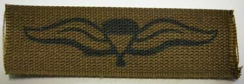 Parachute Wing Printed on Material