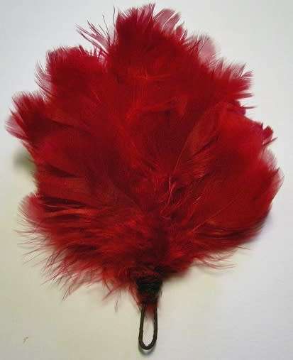 Transvaal Scottish Red Hackle