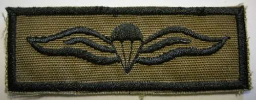 Parachute Wing Embroidered on Material