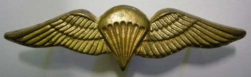 SA Parachute Basic Gilding Metal Mess Dress Wing Parabat Matthysen Vol1 Ed 2 p268 Nr47 Hollow Struck