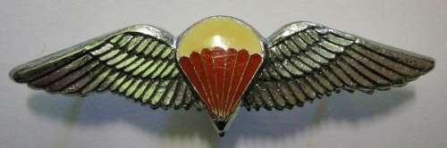 SA Parachute Free Fall Mess Dress Wing Hollow Struck Dinnes 316