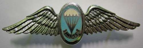 SA Parachute Static Line Instructor Mess Dress Wing Hollow Struck Chrome & Enamel Dinnes 317