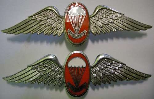 SA Parachute Free Fall Instructor Full Size Wings x 2 SEE DESCRIPTION