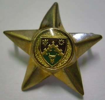 Transkei Brass Rank Star Large