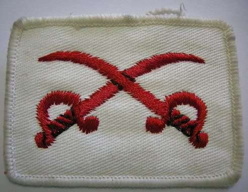 Army Assistant PT Instructor Badge Embroidered on Material