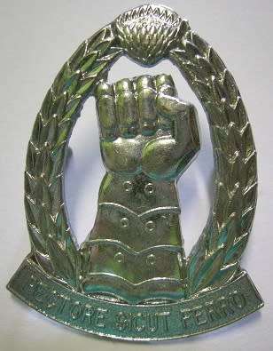 SA Armoured Corps Chromed Cap Badge Dinnes 280