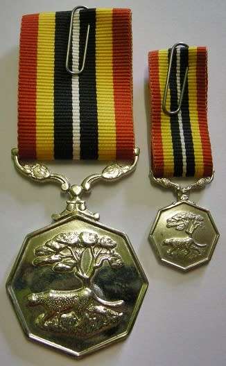 Full Size Southern Africa Medal Double Face Susp Tall Grass Poor Detail Number on Rim w/ Miniature