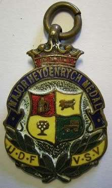 UDF Major Heydenrych Medal Enamelled 35mm x 23mm Excluding Suspender Ring
