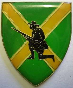 Danie Theron Combat School Shoulder Flash No Pins Dinnes 4481