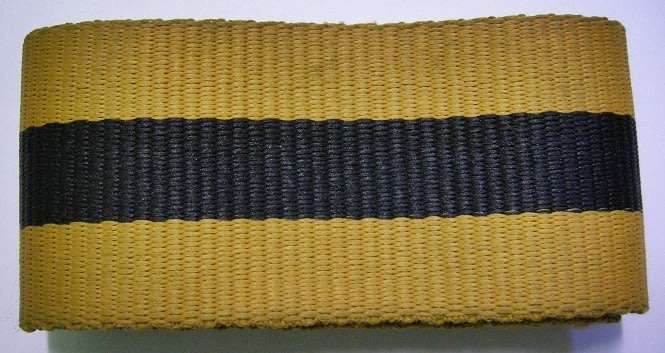 Finance Services Corps Stable Belting 95cm