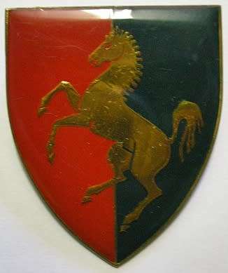 Technical Services Training Centre Shoulder Flash Only One Pin Dinnes 4684