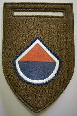 Armour Corps D COY Rubberised Flash Pin Intact