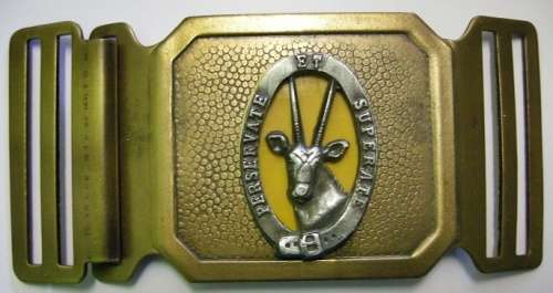 8 SAI Stable Belt Buckle