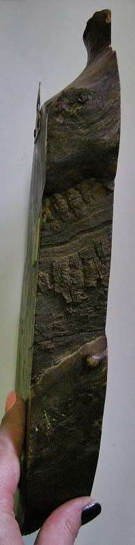 Military Intelligence Plaque SEE DESCRIPTION