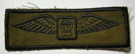 Parachute Instructor Wing Embroidered on Material