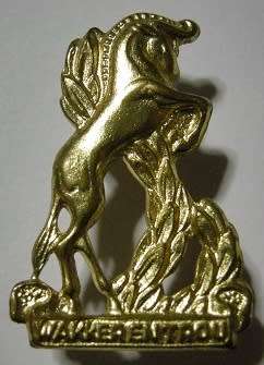 Regiment Bloemspruit Gilding Metal Collar Badge Dinnes 873