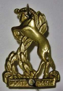 Regiment Bloemspruit Gilding Metal Collar Badge Dinnes 873